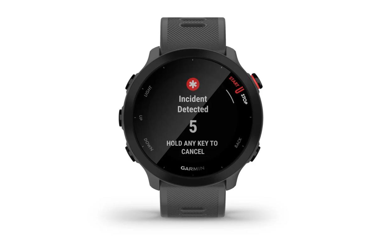 GPS Watch Forerunner 55 Monterra Grey