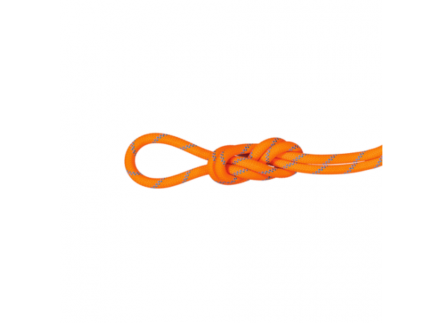 Mammut 8.7 Alpine Sender Dry Rope Ocean-vibrant Orange