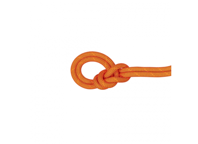 Mammut 9.8 Crag Dry Rope 50 m