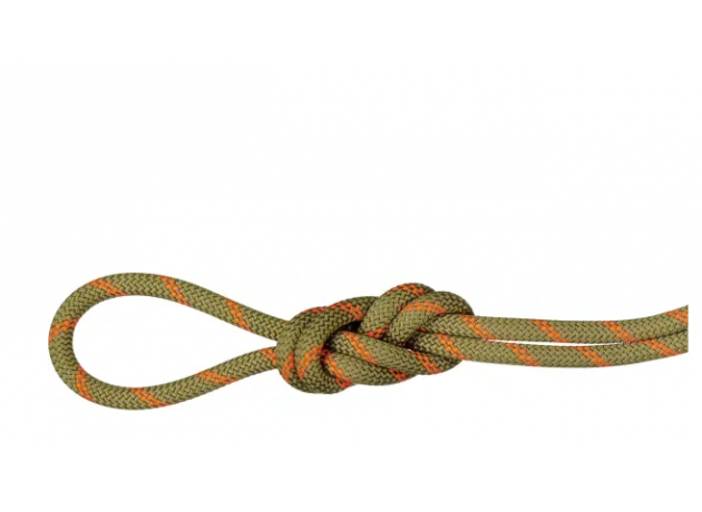 Mammut Alpine Dry Rope Boa-safety Orange 8.0 mm - 50 m